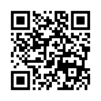 QR Code Flyer